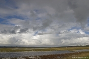 Strandenge på Agerø