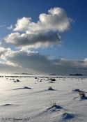 Vinter på Vangså Hede
