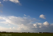 Januar i Krik, Thy