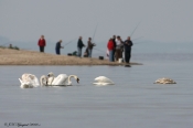 Fisketid