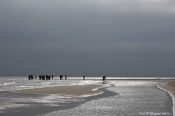 Grenen - modlys