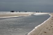 Turister på Grenen