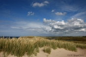 Klitlandskab, Nordthy