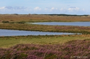 Nationalpark Thy blev indviet 22. august 2008