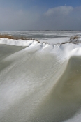 Vinter