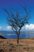 Skarresøerne og Limfjorden