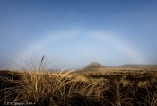 Tåge og Bifrost, Nationalpark Thy