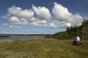 Udsigt ved Blegsø