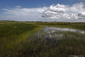 Hedemose, Nationalpark Thy