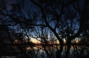 Solnedgang III