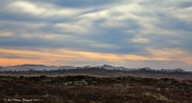 Årets naturfoto 2012