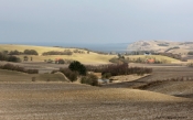 Forårslys - Nord-Mors