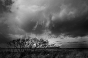 Tunge skyer,  Nationalpark Thy