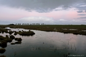 Strandeng i skumring, Agerø