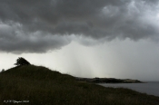 Gullerup, Thisted Bredning