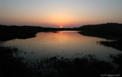 Solnedgang Hanstedreservatet